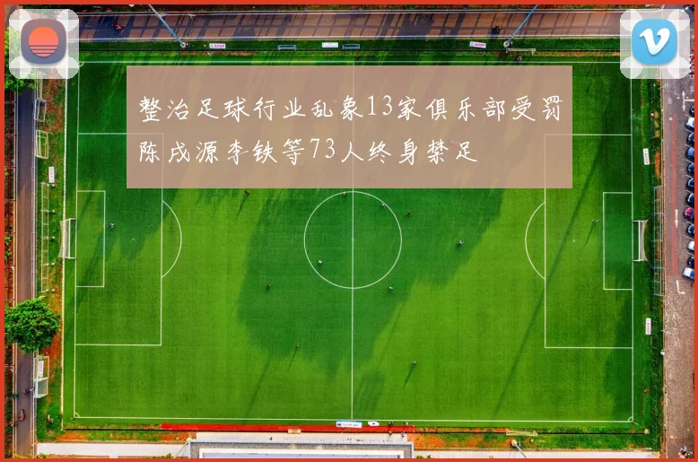 整治足球行业乱象13家俱乐部受罚陈戌源李铁等73人终身禁足