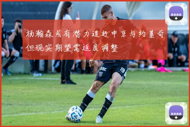 杨瀚森或有潜力追赶申京与约基奇但现实期望需适度调整